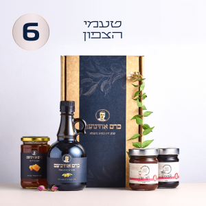 טעמי הצפון