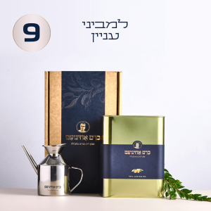 למביני עניין