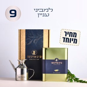 למביני עניין