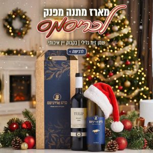 מארז מתנה מפנק לכריסמס